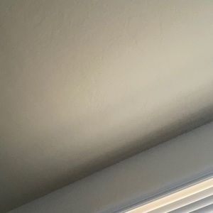 Meet your Posher, Chicken